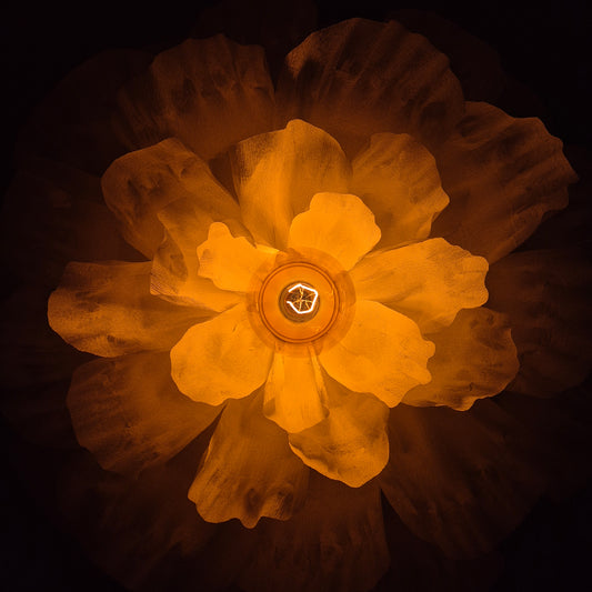 Flower – væglampe
